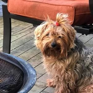 Meet your Posher, Nildem kevin